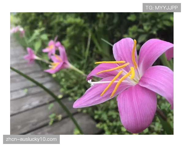 特写:场下十年功,训练馆里的清晨与日暮 特写:场下十年功,训练馆里的清晨与日暮